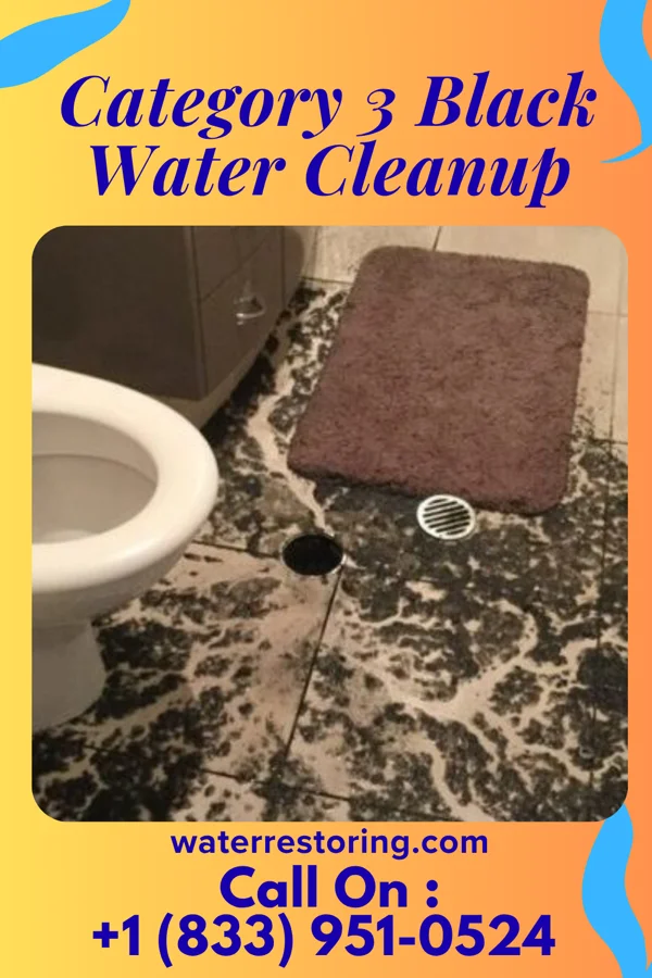 Category 3 Black Water Cleanup in Trail, MN