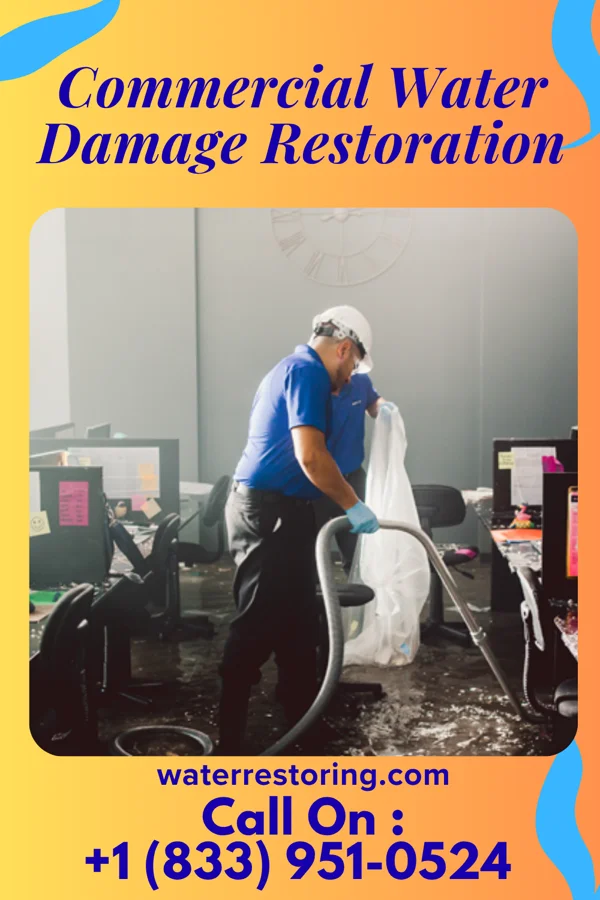 Commercial Water Damage Restoration in Trail, MN