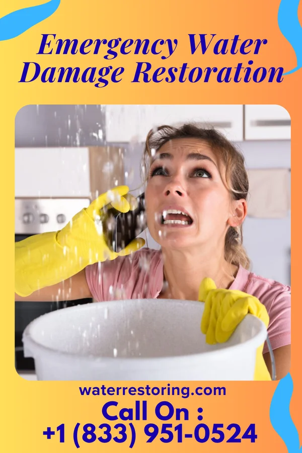 Emergency Water Damage Restoration in Trail, MN