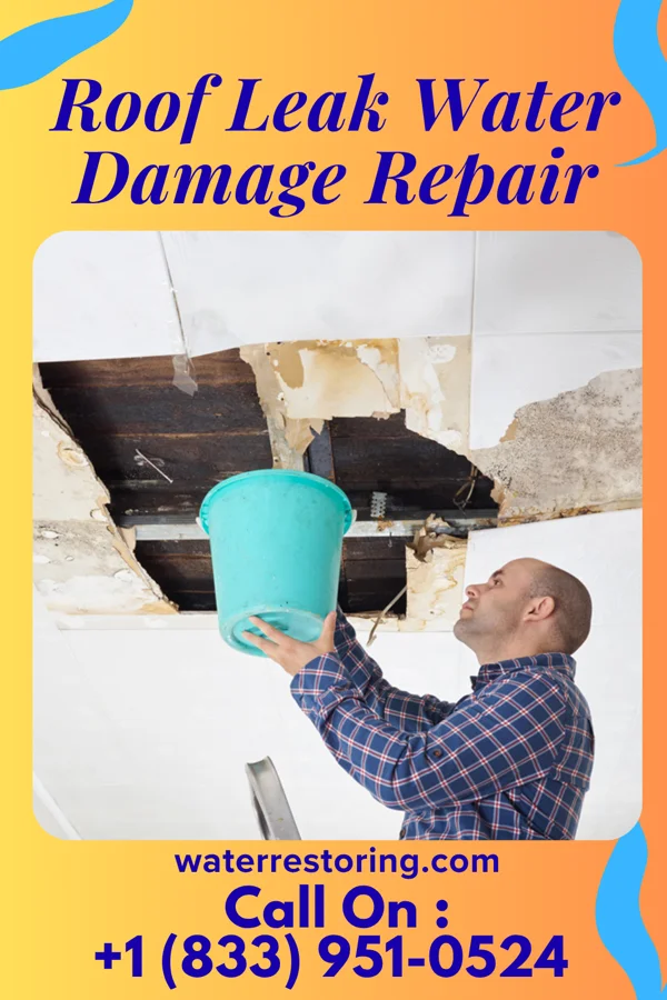 Roof Leak Water Damage Repair in Trail, MN